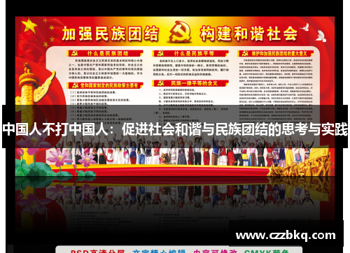 中国人不打中国人：促进社会和谐与民族团结的思考与实践