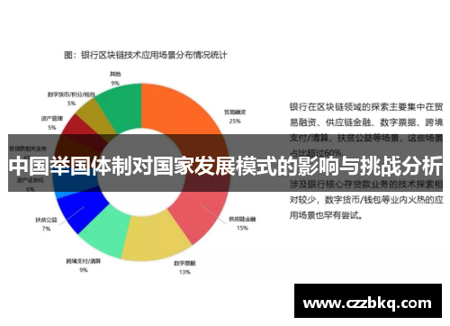 中国举国体制对国家发展模式的影响与挑战分析