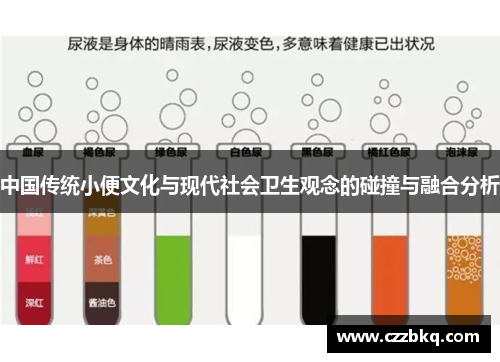 中国传统小便文化与现代社会卫生观念的碰撞与融合分析