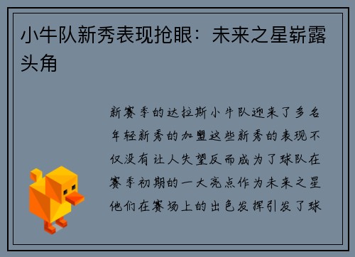 小牛队新秀表现抢眼：未来之星崭露头角